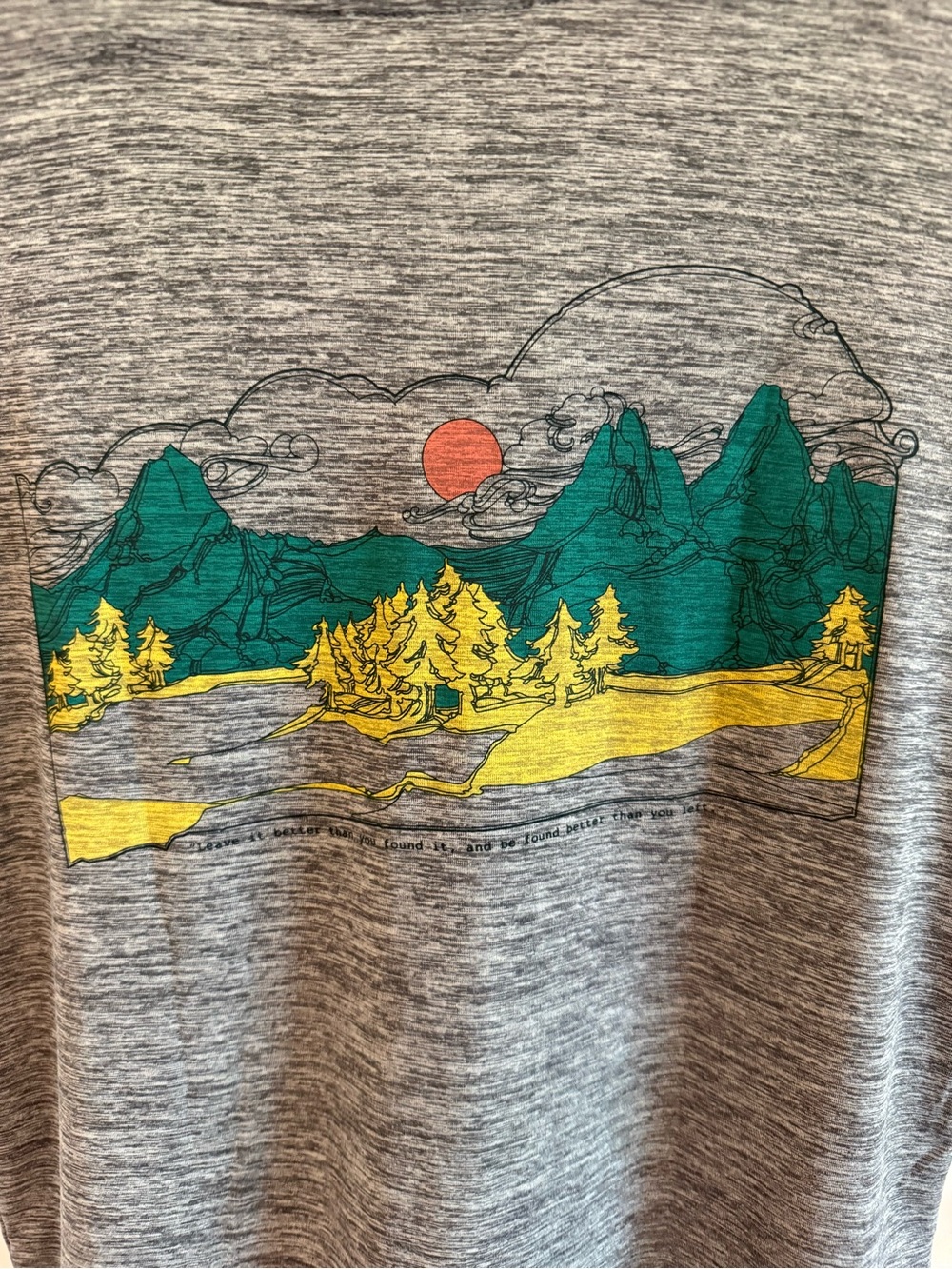 Patagonia Capilene Cool Daily Graphic T-Shirt Women’s XS Gray Mountains